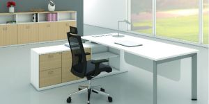 Office Desks and Tables