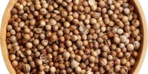 Coriander Seeds