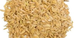 Rice Husk