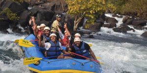 Domestic Tour Service