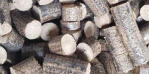 Biomass Briquettes