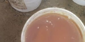 Organic Natural Honey