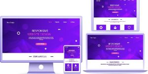 E-commerce Website Design