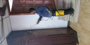 Pest Control Services