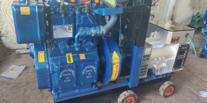 Double Cylinder Water Cooled Diesel Engine