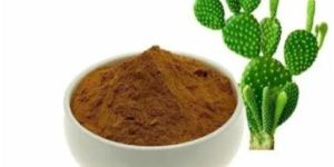 Caralluma Extract