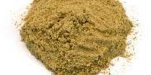 Holarrhena Antidysenterica Extract