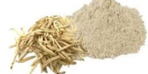 Safed Musli Extract