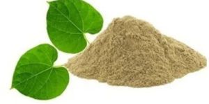 Tinospora Cordifolia Extract
