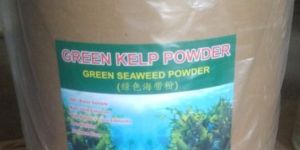 GREEN SEAWEED POWDER (GREEN KELP)