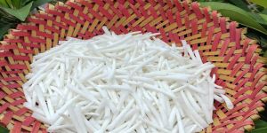 Smooth Dentalium Shells 1.75 to 2 inch 2.2 Lbs 1 KG