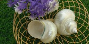 Turbo Imperialis Shell