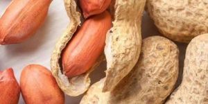 Raw Peanut