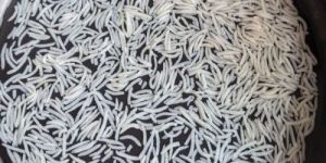 1121 Steam Sella Basmati Rice