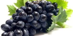 Black Grapes