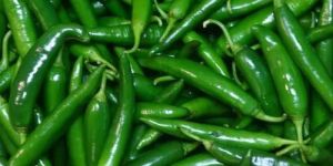 Fresh Green Chilli