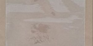 LDPE Transparent Zip Bags