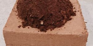 Coco Peat 5kg Blocks