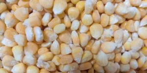 Frozen Sweet Corn
