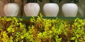 Artificial Bonsai Plant