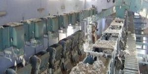 Automatic Cotton Feeding System