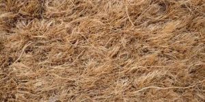 Coconut Coir Fiber