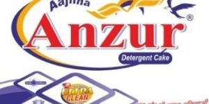 Anzur Detergent Cake