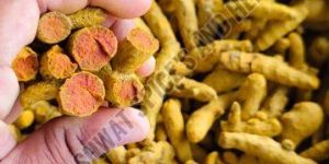 Double Polished Turmeric Finger