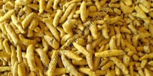 Dried Turmeric Finger
