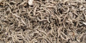 Dried Turmeric Rhizome