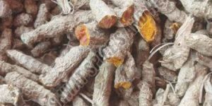 Unpolished Yellow Turmeric Finger