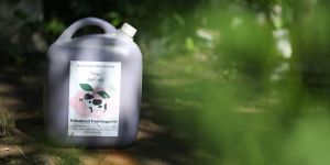 Concentrated Enhanced Panchaghavys- Soil Conditioner Fertilizer & Bio Pest repellant