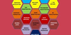 Business Accounting Services