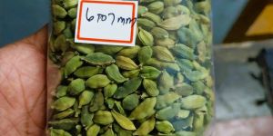 Green Cardamom