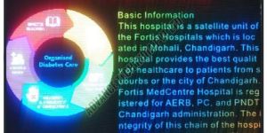 Outdoor LED Video Display