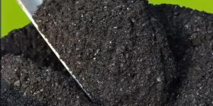 Cotton Stalk Biomass Briquettes