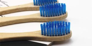 Blue Bamboo Tooth Brush