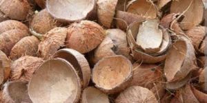Coconut Shell