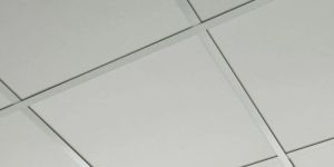 8 Mm T Grid Ceiling