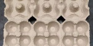 6 Lockable Paper Egg Box