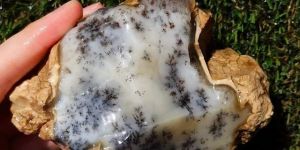 Dendritic Agate