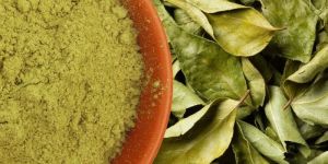 Dry Curry Leaves Powder