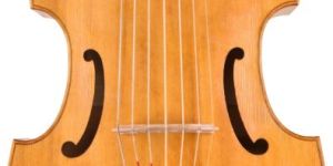 Viola Da Gamba Gut String