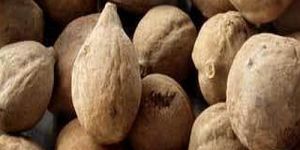 Dried Whole Baheda