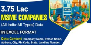 msme company database services