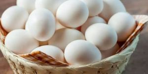 Farm Fresh White Eggs