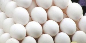 Farm Raised White Eggs
