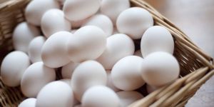 High Quality White Eggs