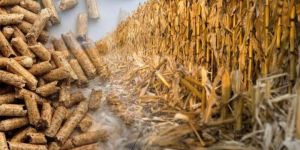 corn cob biomass briquettes