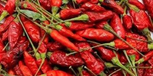 Birds Eye Red Chilli